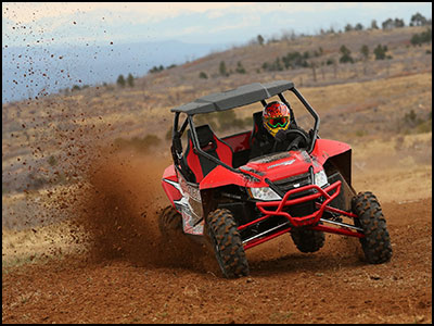 Arctic Cat Wild Cat X 1000 LE