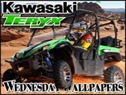 Kawasaki Teryx 750 - Sand Hollow State Park