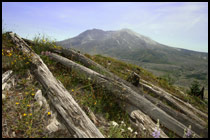 Mount Saint Helen
