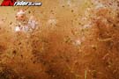 BPG-497