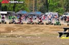 atv-amateur-jolly-4629