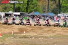 atv-amateur-jolly-4631