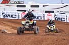 2564_WATVMX_1