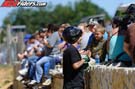 PLV_7290