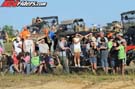 PLV_7384