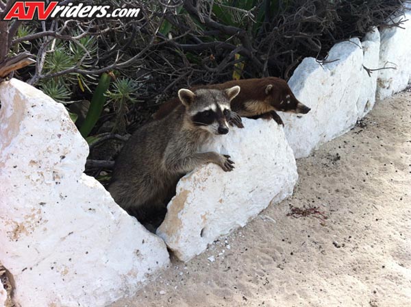 Cozumel 052