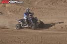QUAD8174
