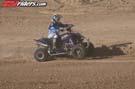 QUAD8176