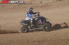 QUAD8177