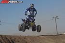 QUAD8195