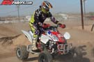 QUAD8206
