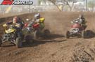 QUAD8233