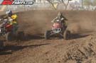 QUAD8235