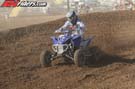 QUAD8237