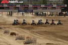 QUAD0231