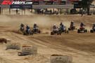QUAD0233