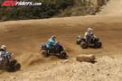 QUAD0246