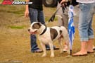 gham-atv-mx-bartosek-misc_GJH7217