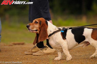 gham-needt-atv-misc_GJH6611