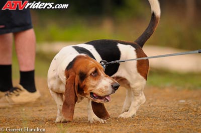 gham-needt-atv-misc_GJH6612