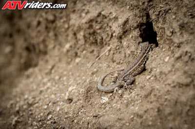 IMG_9799-45-2167684390-O