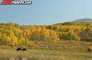 ATV_6283