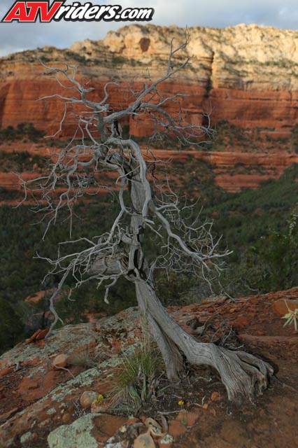 Sedona-Scenic-2576