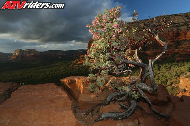 Sedona-Scenic-2646