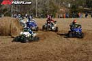 GAR_2993
