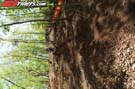 GAR_0794