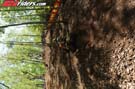 GAR_0795