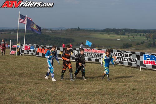 AMF_5244