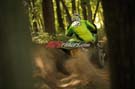 2017-heartland-challenge-atv-racing-0119