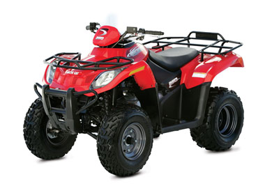 Arctic Cat 250 2x4 Automatic ATV
