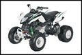 DVX 300 Sport ATV