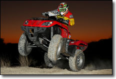 2011 Arctic Cat 425 4x4 Rear Rack