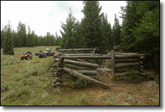 Barney Top Trail Log Cabin