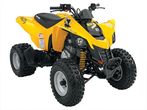 2007 Can-Am DS 250 Sport ATV