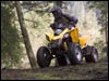 Can- Am DS 250 Sport ATV Trail Riding