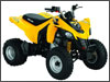 Can-Am DS 250 Youth Sport ATV