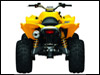 Can-Am Renegade 800 H.O. EFI 4x4 Sport-Utility ATV Rear