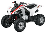 Can-Am DS 250 Youth Sport ATV Front Left