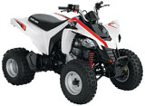 Can-Am DS 250 Youth Sport ATV Front Right