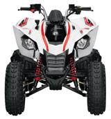 Can-Am DS 250 Youth Sport ATV Front