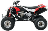 Can-Am DS 450 Red White Left