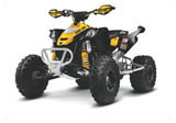 Can-Am DS 450 XC ATV