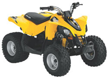 2010 DS70 Youth ATV