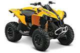 2013 Renegade 1000 Sport Utility ATV