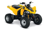 2013 DS 250 ATV