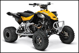 2014 Can-Am DS 450 X MX